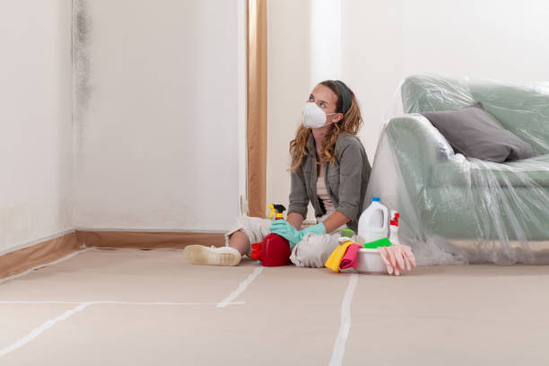 Reliable Mold Cleanup contractor in Ellsworth, MI by Cheap Mold Removal
